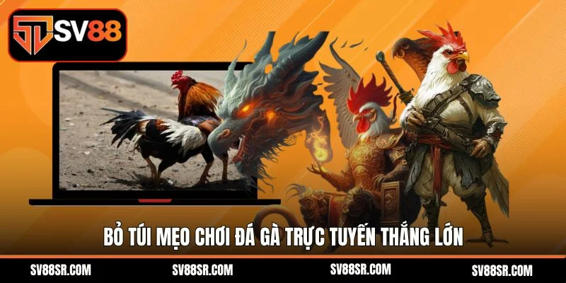 Bỏ túi mẹo chơi đá gà trực tuyến thắng lớn