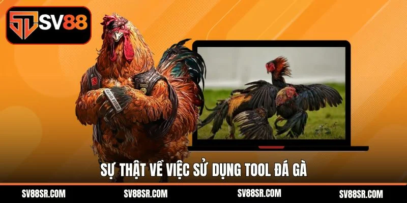 Sự thật về việc sử dụng tool đá gà