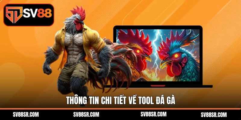 Thông tin chi tiết về tool đá gà