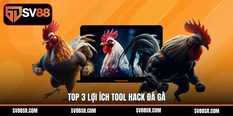 Top 3 lợi ích tool hack đá gà